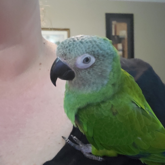 N/A - Picture 1 of 1